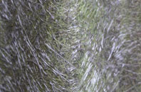 North Corriegills fibreglass roof work